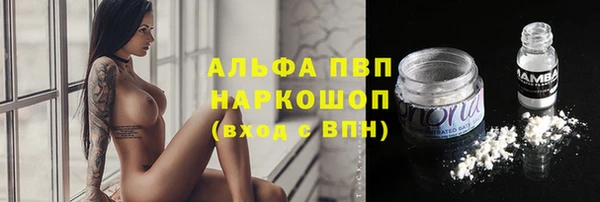 кокс Магас